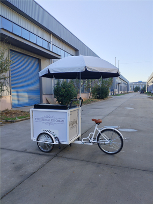 アイスクリーム・ロール・フード・プッシュ・カート 自転車 冷蔵庫 70kg 220*87*240cmcm