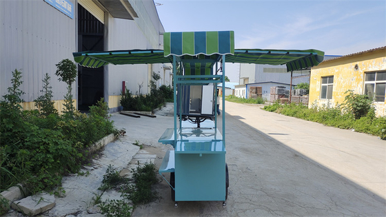 カスタマイズされた電圧三輪車 自転車 コンテナ 0-10000電圧のフードトラック