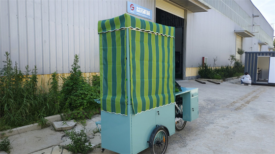 フルキッチン 電気食品 アイスクリーム トラック 貨物用 三輪車 あなたの完璧な選択