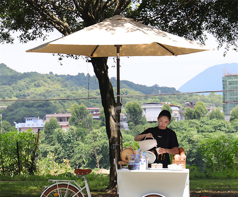 250*124*135cm 缶詰用 コーヒー 食品 貨物・容量付きの三輪車