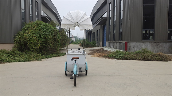 アイスクリーム用の冷蔵庫バイクを直接供給する カスタマイズされたカラー モバイルフードトラック
