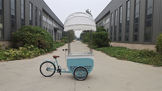 アイスクリーム用の冷蔵庫バイクを直接供給する カスタマイズされたカラー モバイルフードトラック