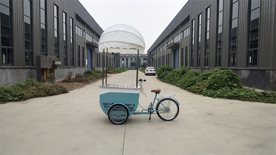 アイスクリーム用の冷蔵庫バイクを直接供給する カスタマイズされたカラー モバイルフードトラック