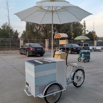 100kg クラシック アイスクリーム バイク ファーストフード トラック トライサイクル 調味料工場
