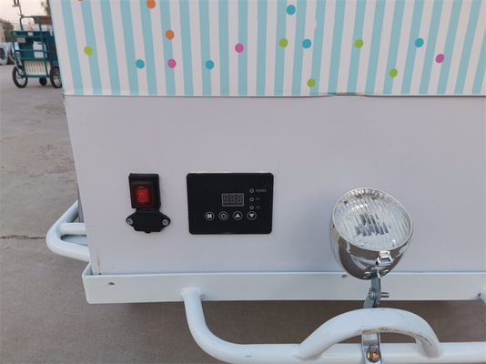 100kg クラシック アイスクリーム バイク ファーストフード トラック トライサイクル 調味料工場