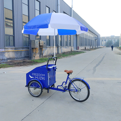 70kg 負荷容量 電気ペダル パーソナライズされたサービス付き 3輪自転車カート