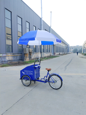 70kg 負荷容量 電気ペダル パーソナライズされたサービス付き 3輪自転車カート