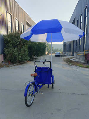70kg 負荷容量 電気ペダル パーソナライズされたサービス付き 3輪自転車カート