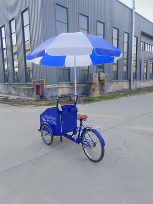 70kg 負荷容量 電気ペダル パーソナライズされたサービス付き 3輪自転車カート