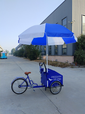 70kg 負荷容量 電気ペダル パーソナライズされたサービス付き 3輪自転車カート