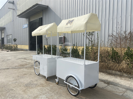 小型 携帯 電気 荷車 冷たいプレート 押し傘 屋外 ミニホイール スーパーマーケット 荷車